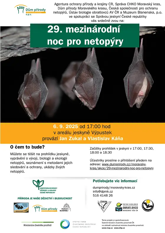 foto k akci: 29. mezinárodní noc pro netopýry