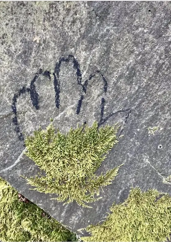 foto k akci: Umění na výletě: Ruce plné netopýrů◢outdoor výtvarná dílna